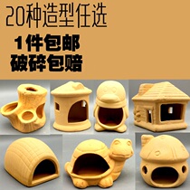 Turtle dodging the cave fish tank for view shelter from the house climbing and shelter from the caves tortoise and tortoise hidden from the sea and the mane