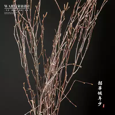 (Birch branch) Natural branch decoration soft home indoor retro decoration Dry Branch decoration dry flower branch