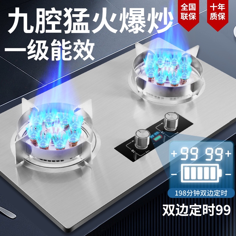 Haotaitai Gas Stove with Strong Fire, Double Burner, Household Gas Stove, Dual Burner, Natural Gas Stove, Liquefied Gas Stove