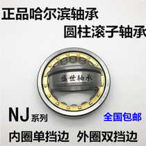 HRB Harbin Bearing NJ 2304 2305 2306 2307 2308 2309 2310 EM C3 C4