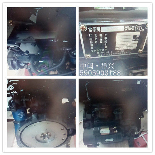 Changzhou Co, Ltd Changchai brand ZN385Q diesel engine engine assembly