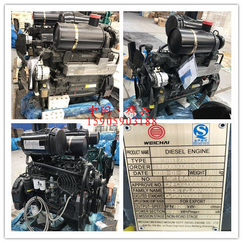 Weifang Diesel Equic 226B - 6G WP6G 175E 22 diesel engine assembly