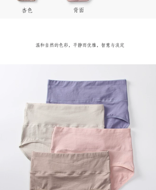 4 chiếc quần lót cotton tam giác size lớn cạp cao, cạp rộng, hai lớp eo, bụng, đáy quần cotton size lớn - Vòng eo thấp