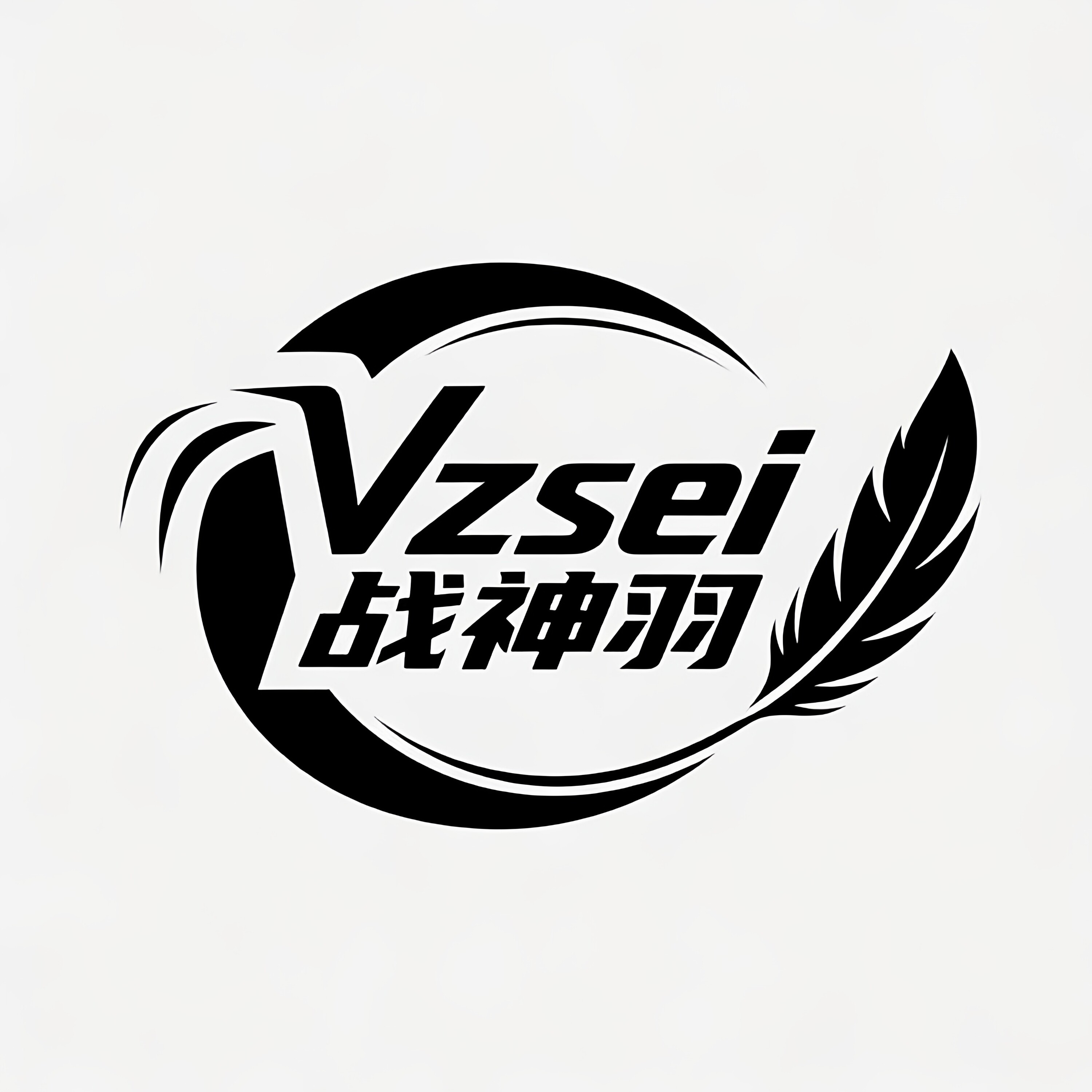 Vzsei战神羽官汇店