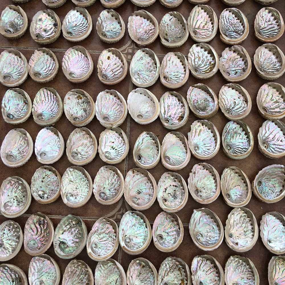 Natural Australian abalone shell stone Cassia soap box Chinese medicine decorative jewelry box burning sage storage box