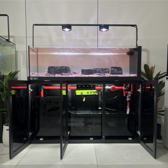 极窄溪流缸金晶超白鱼缸南美水刀底滤黑白灰色简约工业风客厅兰寿