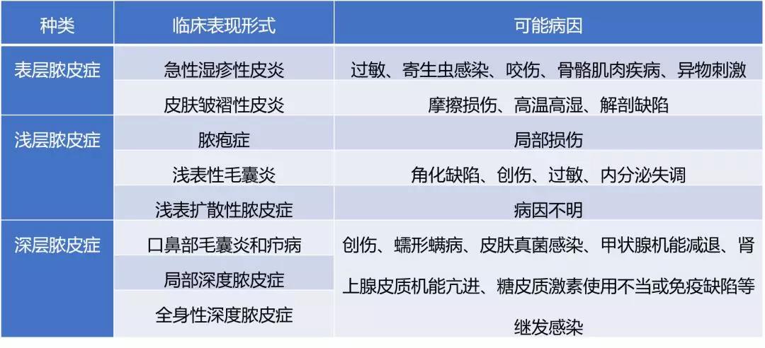 Colu phức hợp staphylococcal enzyme diệt khuẩn 60ml chó và mèo vết thương viêm da bìu viêm ngón chân - Cat / Dog Medical Supplies Dụng cụ thú y Hà Nội