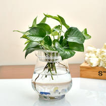 Creative simple small fresh ecological transparent glass goldfish turtle tank vase Living room hydroponic fish tank flower vase