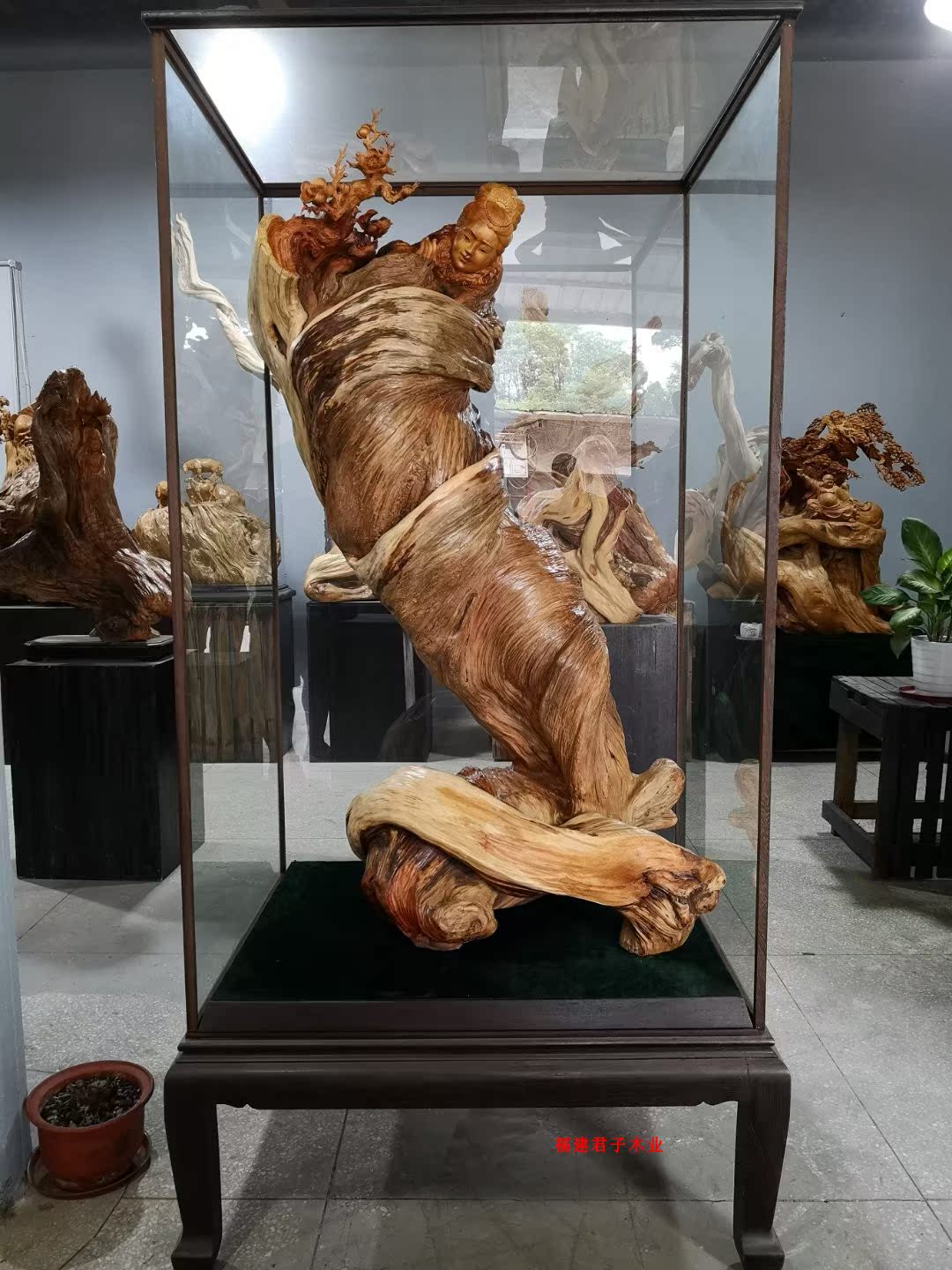 Taihang cliff cypress spinning snow seeking plum Wang Zhaojun Four beauties root carving wood carving ornaments Hotel club opened