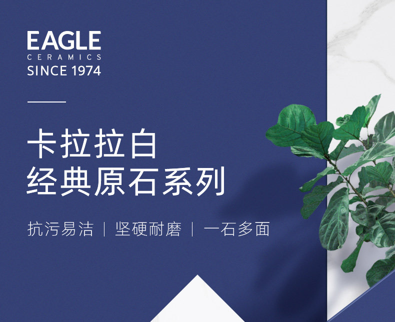 2020-Карара Уайт_01.JPG