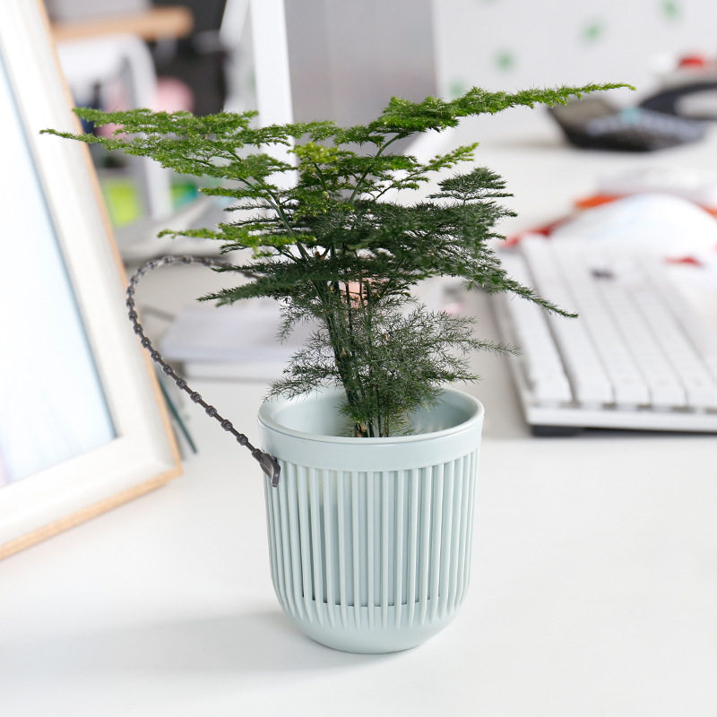 Yo-yo Baskets Flower Pots Creativity Gold Gülen Pot Plastic Resin Round Art Flowerpots Flower Baskets