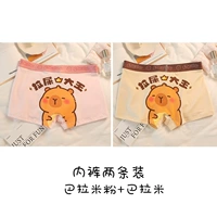 Две упаковки (пара-порошок + парами)