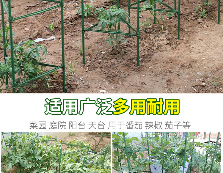 999小舖爬藤架黃瓜架西紅柿番茄攀爬支架爬藤植物支架茄子架豆角爬藤架支柱園藝atf 露天拍賣