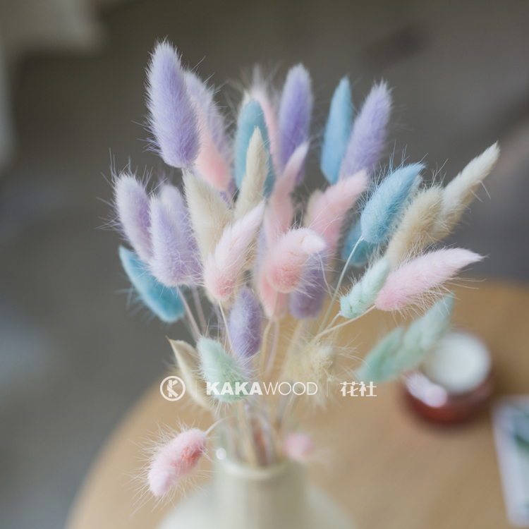 Natural Ornament Bouquet Colored Rabbit Tail Grass Drying Bouquet Natural Air-dried Flowers And Grass Home Soft Assembly Shop Windows Display