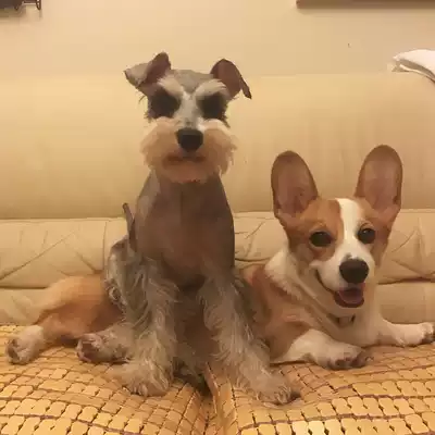 Special hyperlink for wine lunch freight