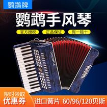 Parrot accordion 60 120 12 48 32 bass 41 keys Three or four rows of springs Performance practice Beginner