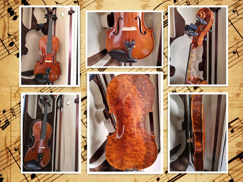The upscale unique Paneyed dragon's eye maple violin