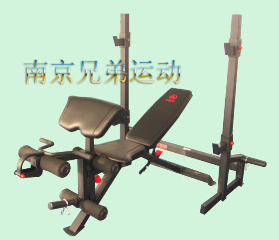 Split Squat Rack, Dumbbell Bench, Combination Bench Press Bench, Weight Bench, Bench Press Rack (Clearance Sale)