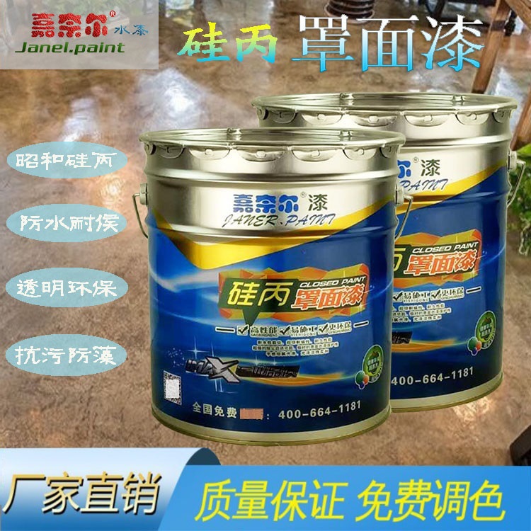 Carnaire silicon C cover finish color lacquered true stone lacquered light oil cover photopaint protection paint water transparent waterproof and dust-proof