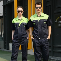 Корово -рог скрытый синий и зеленый плеч