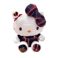 12-дюймовая академия Кт