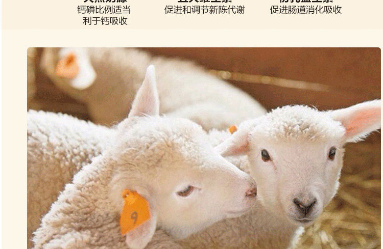 Double Dan New Specials Esleyon Pet Sheep Sữa Powder Pupgie Dog Dogs Bổ sung dinh dưỡng Sức khỏe Sản phẩm 200g sữa mèo