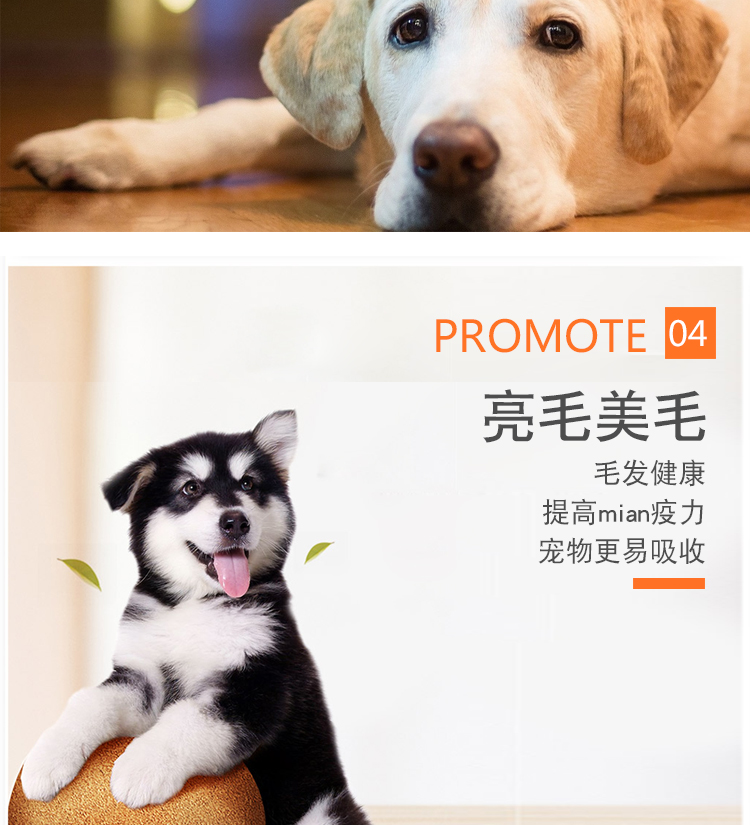 Pet vitamin lớn tức thì, vật nuôi trẻ, dinh dưỡng, chó, mèo, canxi, vitamin, nguyên tố vi lượng, bột làm đẹp - Cat / Dog Health bổ sung sữa cho chó bị bệnh