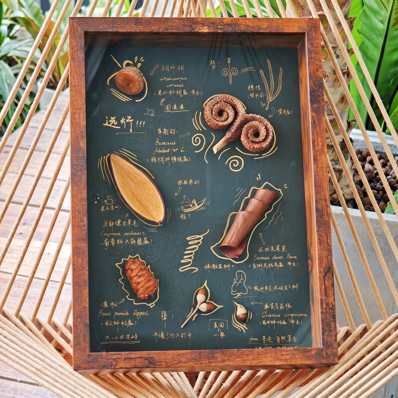Hollow Photo Frame 5cm with Real Glass Texture Insect Specimen Frame DIY Mounting Wooden Display Frame Picture Frame for Hanging and Display