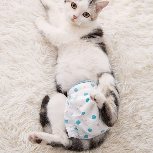 Кошачьи подгузники, моча, без мокрого кота, физиологические штаны, тетя, тетя, полотенце, мягкие брюки котенок кошка кошка