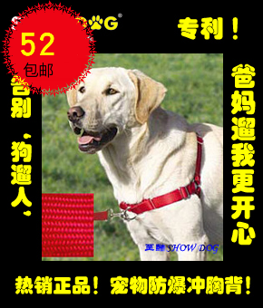 Dog chest and baby bag Leash Dog leash Medium and large dog walking leash Pet explosion-proof chest and back