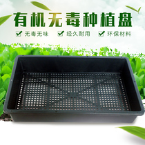 Sprout seed seedling tray with cover multi-meat nursery box sprouts planting