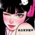 采白家手工穿戴甲
