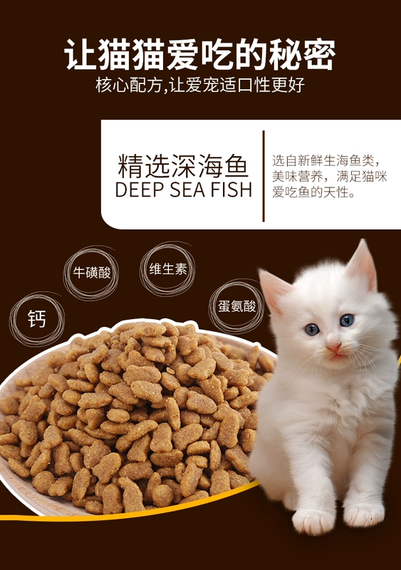 Thức ăn cho mèo Aier 10kg đầy đủ giá cá biển hương vị mèo trưởng thành thức ăn cho mèo thức ăn vật nuôi chính 20 kg - Cat Staples