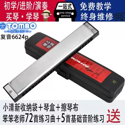 Tongbao 6624p pure tone harmonica 24 hole high-grade polyphonic adult children beginner practice professional