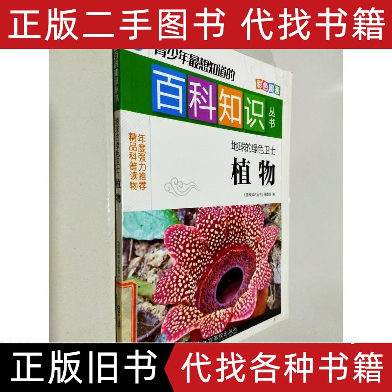 守护城市安全的无形卫士：智能安检系统解析