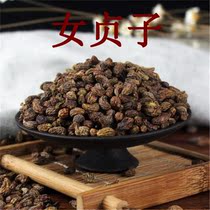 Ligustrum chicken waist seed privet real female seed Holly seed wax tree Guangxi 500g