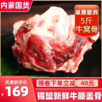 Inner Mongolia fresh beef cattle nest bone tendon 5kg frozen Halal cattle bone grass feeding with beef cattle kneecap commercial