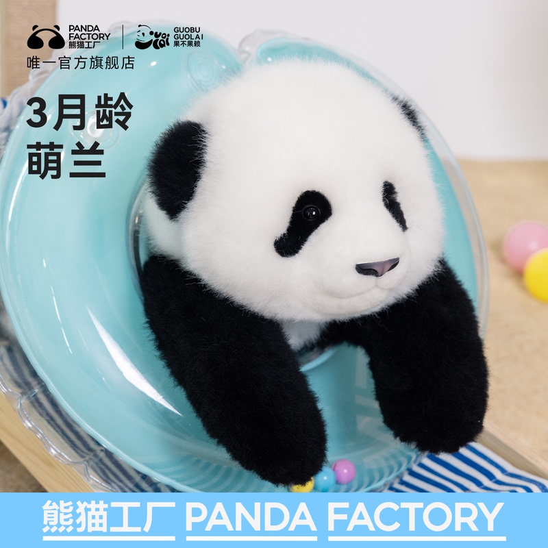 Panda Factory Official 3-Month-Old Menglan Realistic Panda Plush Toy Sheepskin Stuffed Animal Gift for Girls Panda Factory Official 3-Month-Old Menglan Realistic Panda Plush Toy Sheepskin Stuffed Animal Gift for Girls