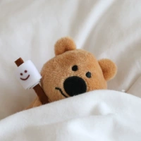 Зефирский кулон коала не может быть удален