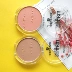 Tinh chất khảm Đức blush nude trang điểm mini mờ hạt 10/20 / 30rose tôi lên - Blush / Cochineal Blush / Cochineal