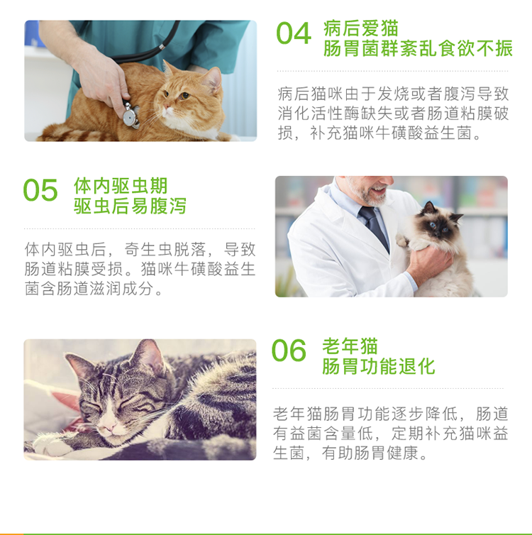 Vật nuôi nhỏ, dạ dày, mèo, mèo, chó, men vi sinh, 10 gói, điều hòa, tiêu chảy, tiêu chảy, tiêu chảy, sản phẩm sức khỏe thú cưng sữa dành cho mèo con