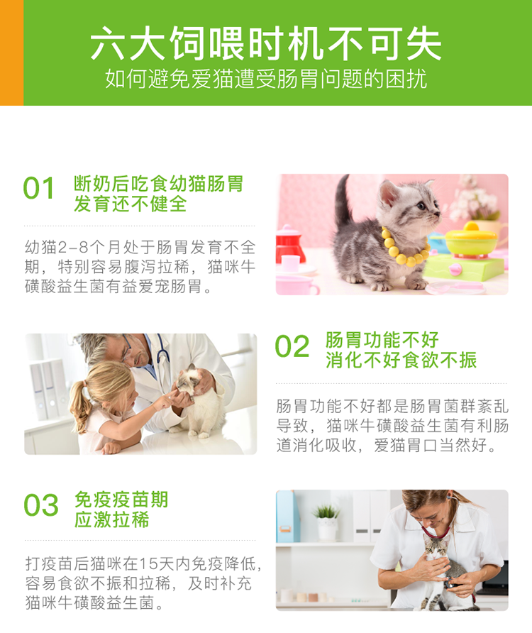 Vật nuôi nhỏ, dạ dày, mèo, mèo, chó, men vi sinh, 10 gói, điều hòa, tiêu chảy, tiêu chảy, tiêu chảy, sản phẩm sức khỏe thú cưng sữa dành cho mèo con