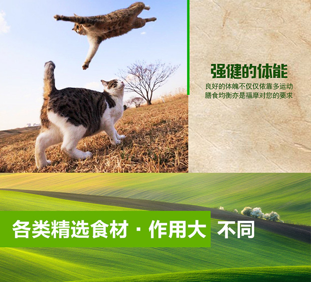 Mèo Jiang Chi nhập khẩu từ mèo Fumo thức ăn không có hạt cá hồi vịt xanh Fumo hạt tự nhiên vào mèo con 5 pound - Cat Staples hạt thức ăn cho mèo