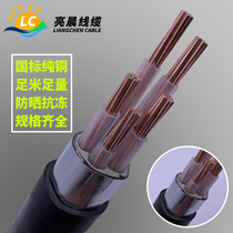 National standard copper core YJV2 3 4 5 core 10 16 25 35 square 3 1 core three-phase four-wire armored buried cable