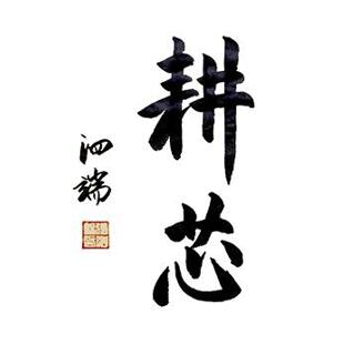 耕芯 FPGA MCU ADC IGBT