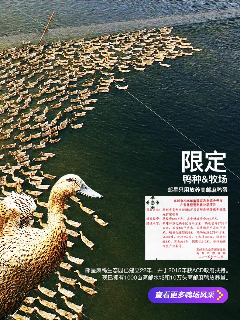 邮星 高邮咸鸭蛋 20枚/1100g 图5