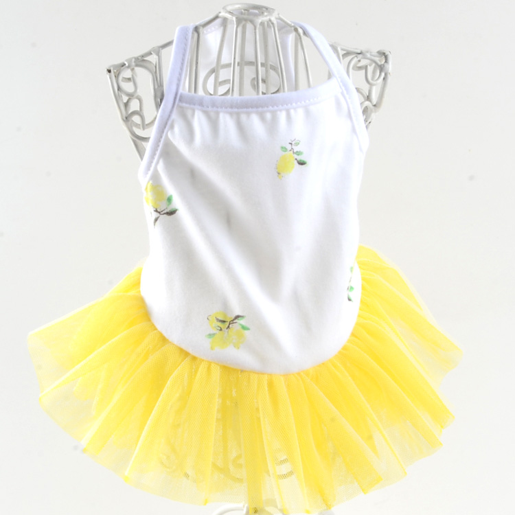 Quần áo chó cưng gốc mèo mùa hè váy Teddy quần áo mỏng phần chó con khuyến mãi - Quần áo & phụ kiện thú cưng áo mưa cho chó