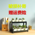 Máy tính để bàn ban đầu mini gỗ rắn đứng giá đơn giản nhiều lớp lắp ráp cửa sổ thịt sill hoa đứng gỗ hoa đứng - Kệ kệ để sách Kệ
