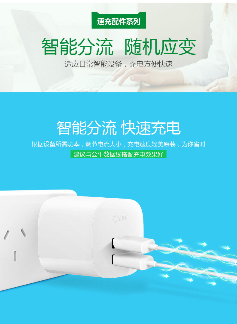 chargeur BULL - Ref 1291192 Image 12