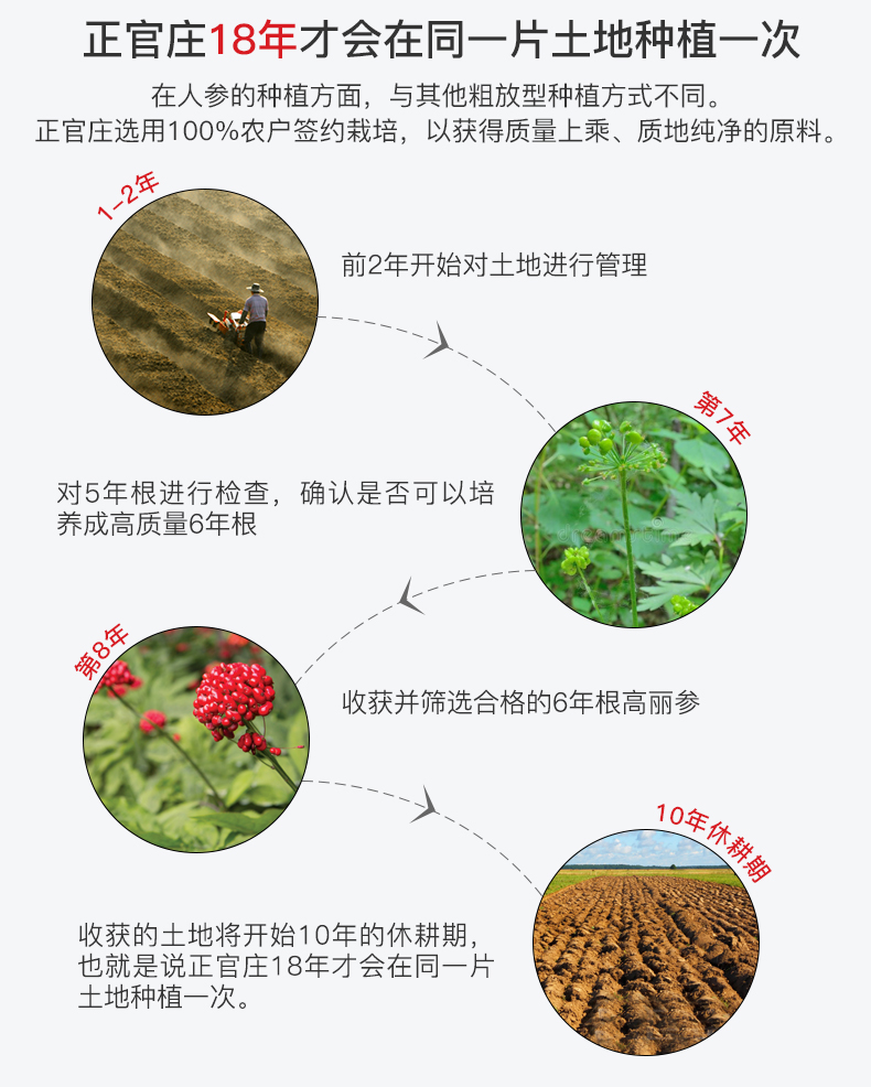 韩国正官庄6年根高丽参水蜜桃浓缩液